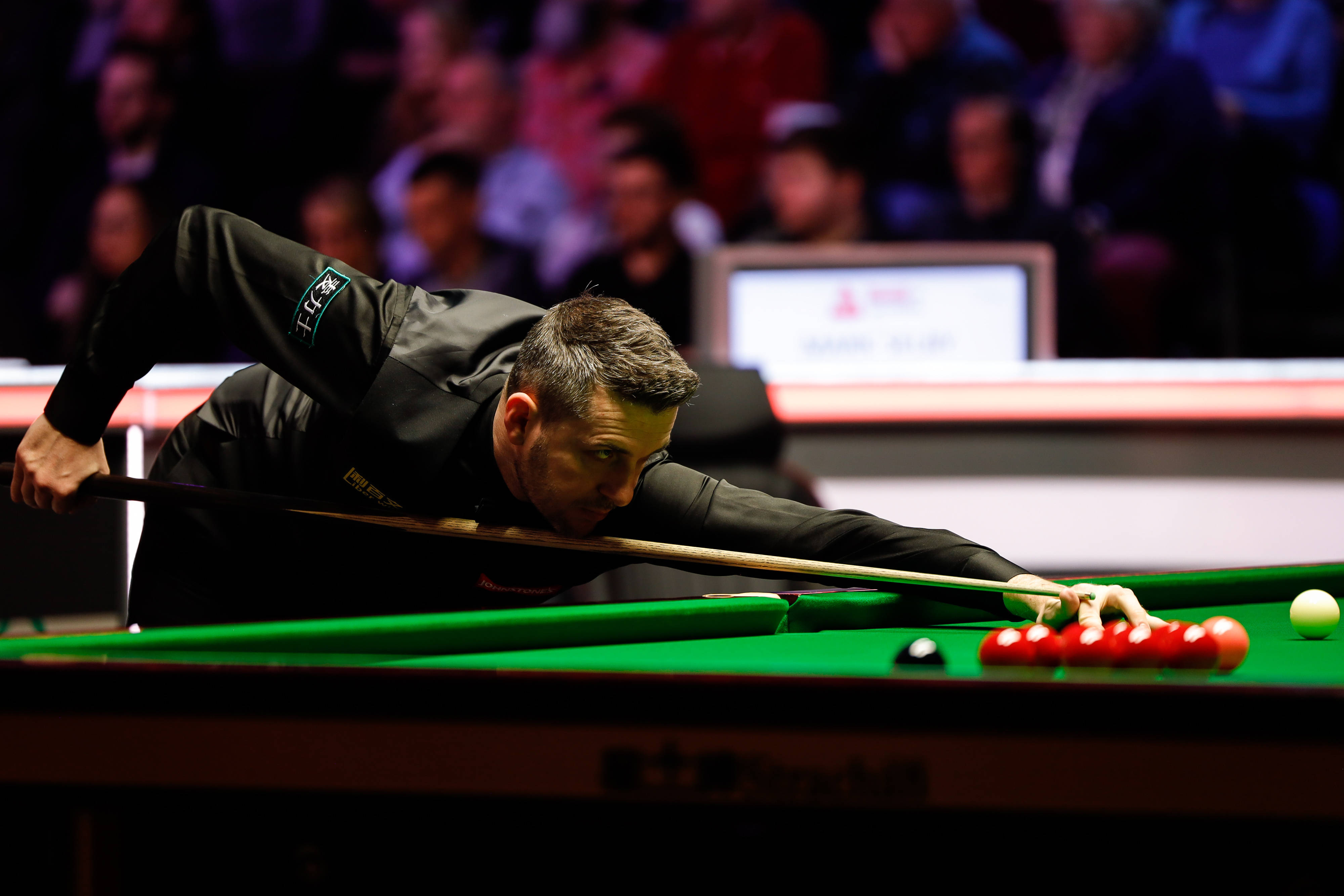 们看到了他 们看到了他