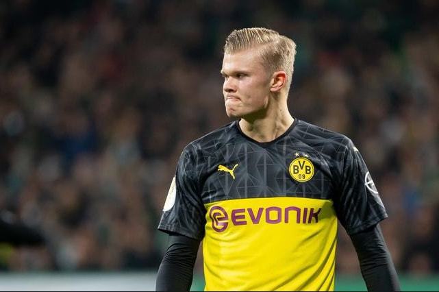 草区的处理 草区的处理