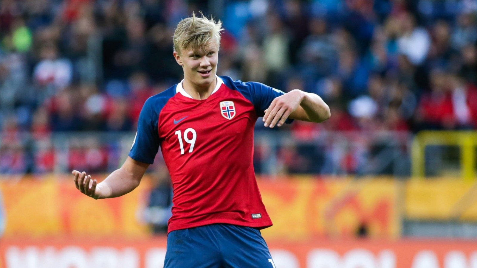 关键看点已 关键看点已